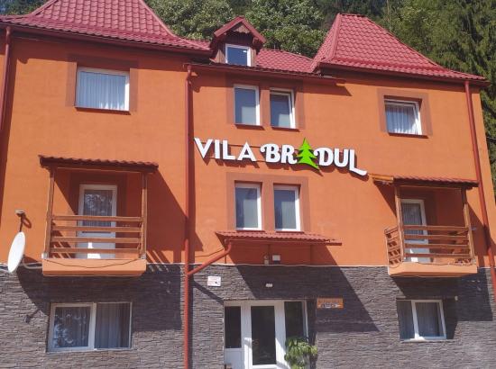Vila Bradul
