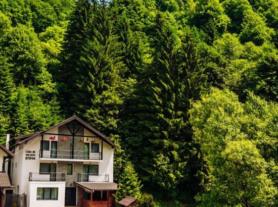 Casa de vacanta Ștefan