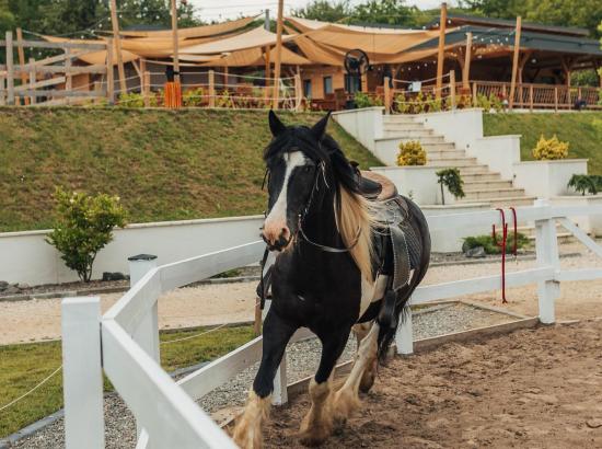 Complex turistic Ecvestria Ranch