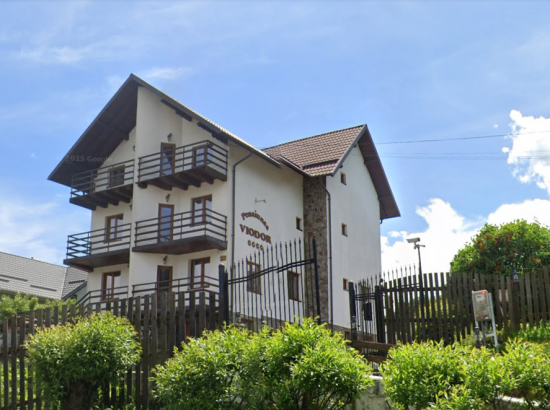Pensiunea Viodor
