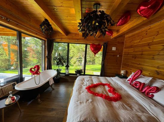 Cabana Mountain View Apuseni