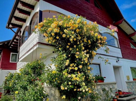 Camere de inchiriat Casa Pompierului