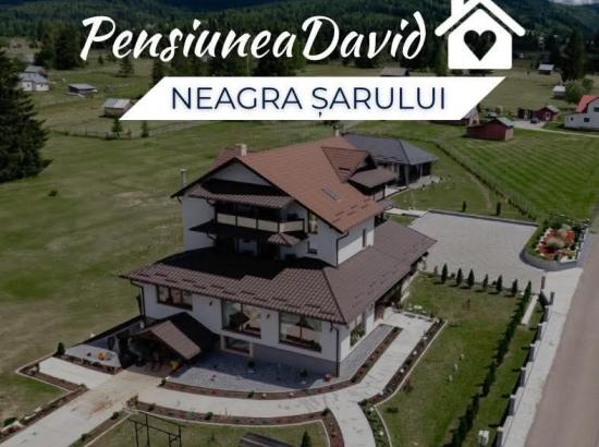 Pensiunea David