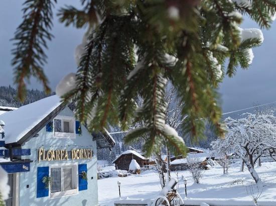 Pensiunea Floarea Dornei