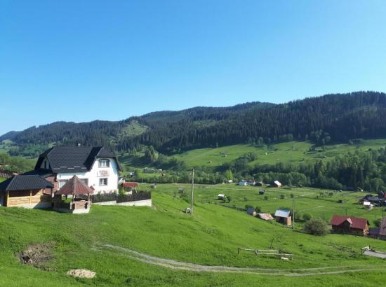 Pensiunea Bucovina Mea
