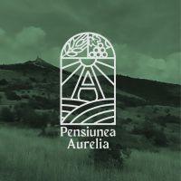 Pensiunea Aurelia