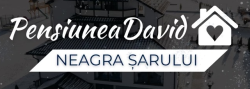 Pensiunea David