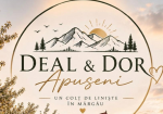 Casa Deal&Dor Apuseni